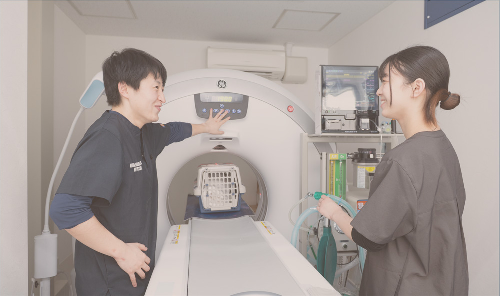 私たちの働き方